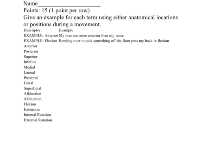 solved-give-an-example-for-each-term-using-either-anatomical-chegg