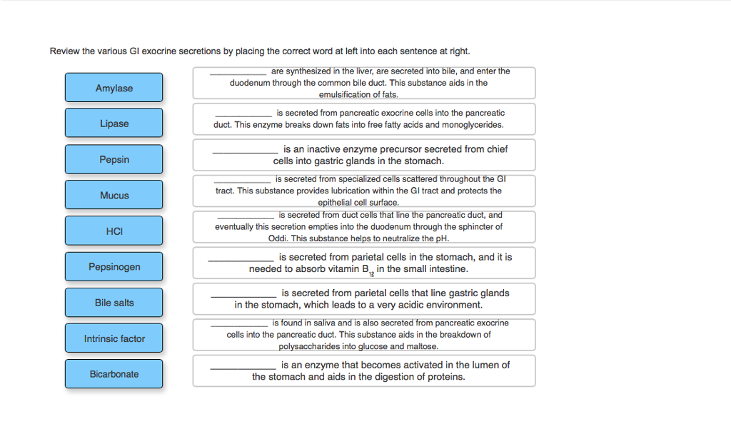 Anatomy And Physiology Archive November 30, 2017