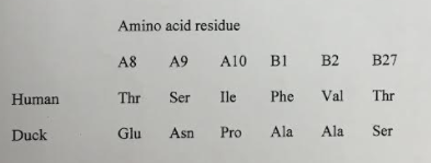 calculate pi amino acid sequence