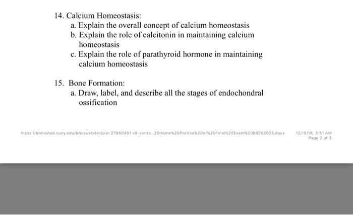 Solved Calcium Homeostasis Explain The Overall Concept Of Chegg