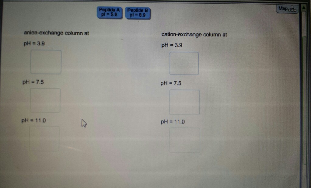 Solved Biochemistry Sort the PI values (Peptide A=5.6 and