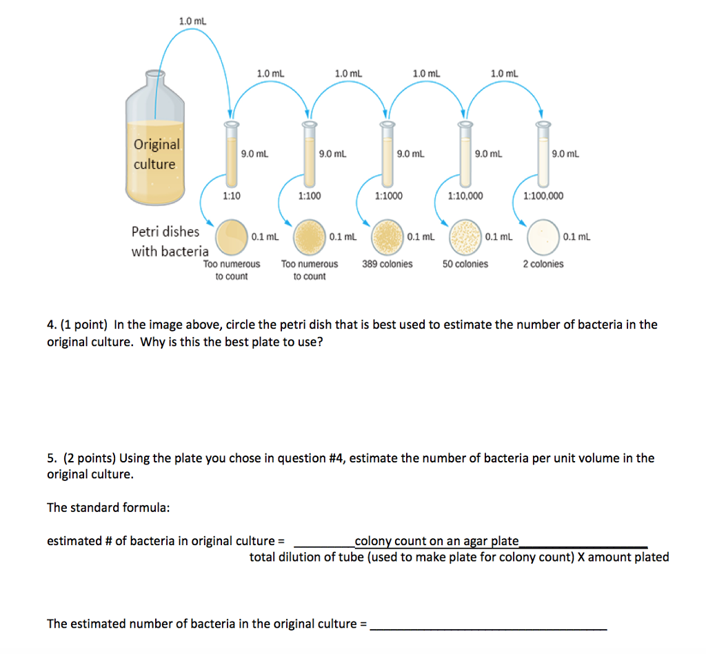 Solved 10 ul 10 ul 10 pl 10 ul Sample 990 pil 990 ul 990 ul | Chegg.com