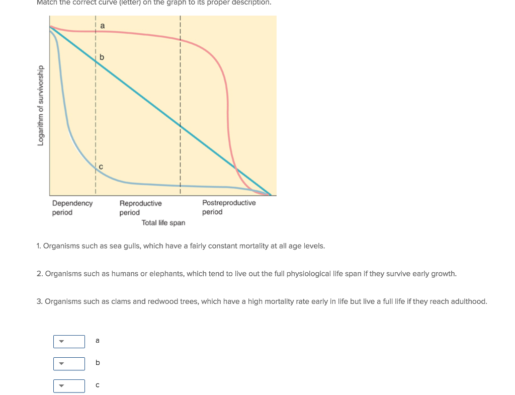 Solved Marten the correct curve (letter) on the graph to its