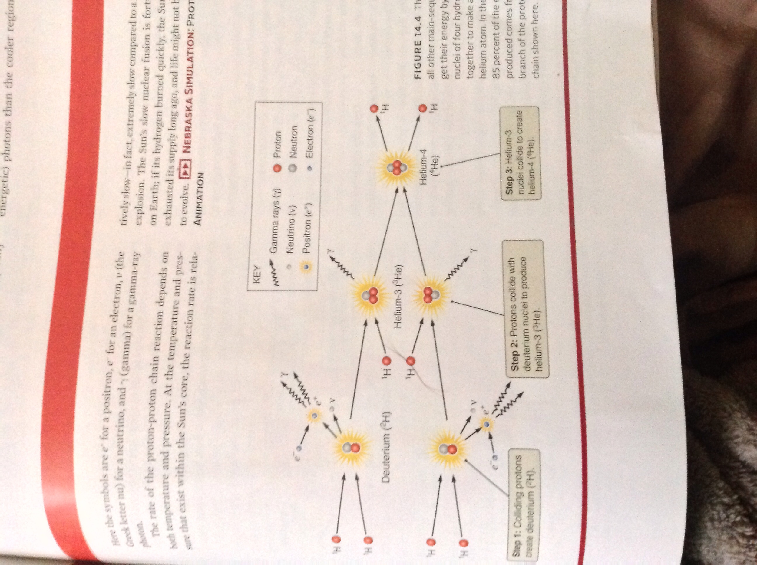 Solved Draw a diagram of the proton-proton reaction. Show | Chegg.com