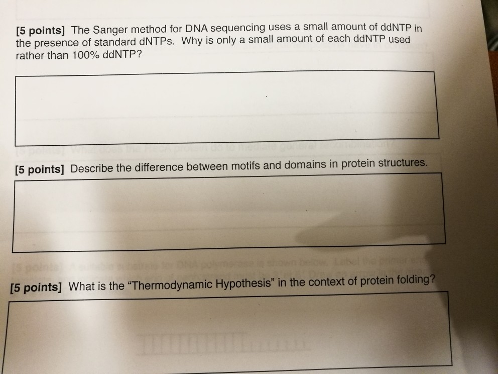 solved-5-points-the-sanger-method-for-dna-sequencing-uses-chegg