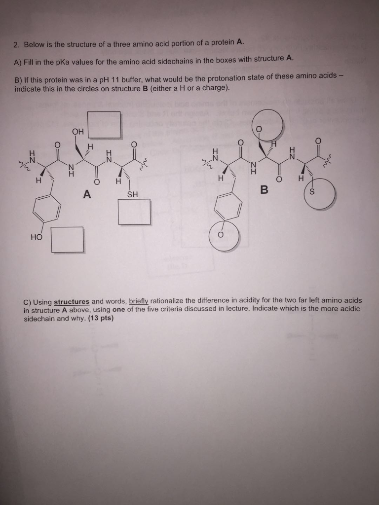 Solved 2. Below is the structure of a three amino acid | Chegg.com