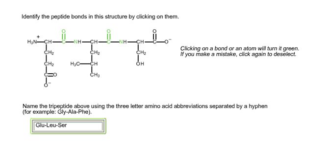 Solved Identify The Peptide Bonds In This Structure By Chegg