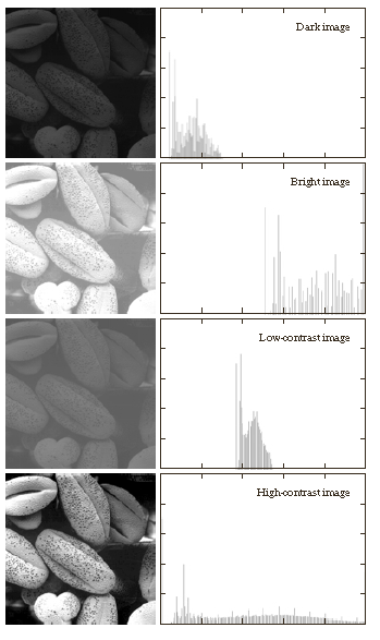 By Observing The Histograms Shown Above, Propose A | Chegg.com