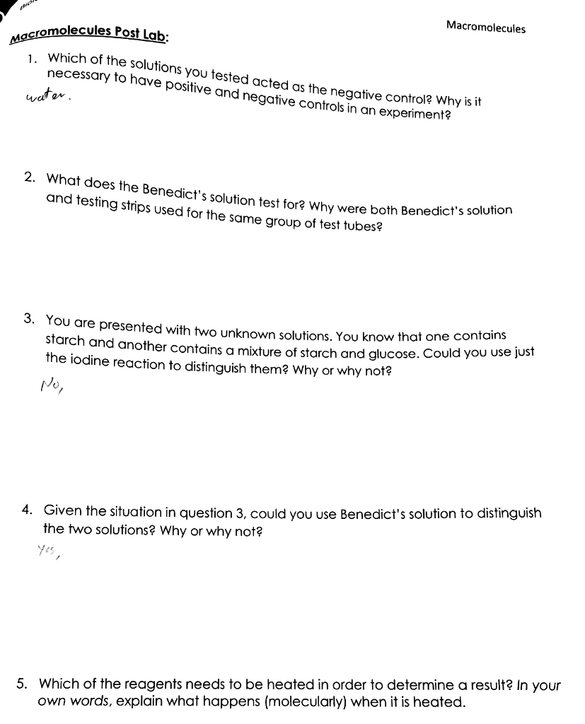 solved-which-of-the-solutions-you-tested-acted-as-the-chegg