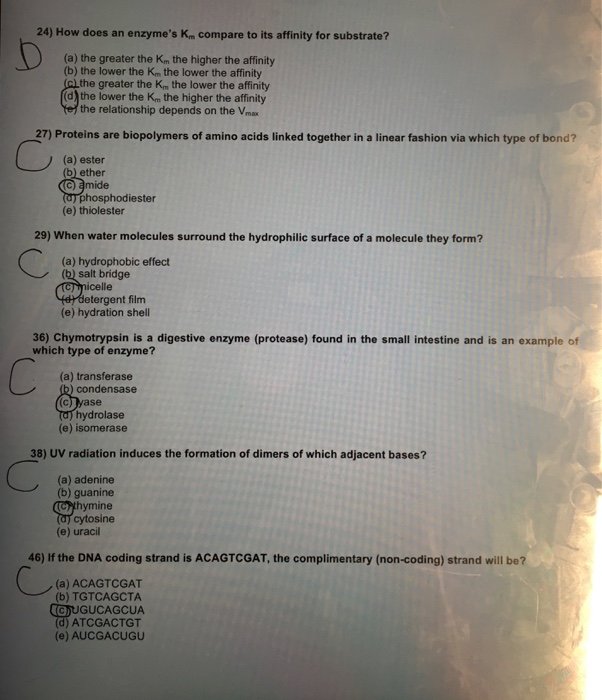 Solved 24) How does an enzyme's Km compare to its affinity | Chegg.com