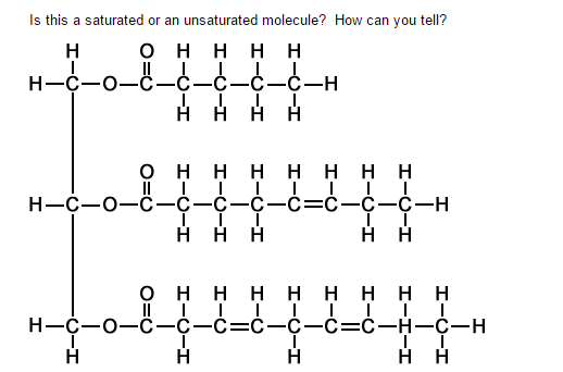 Solved Is this a saturated or an unsaturated molecule? How | Chegg.com