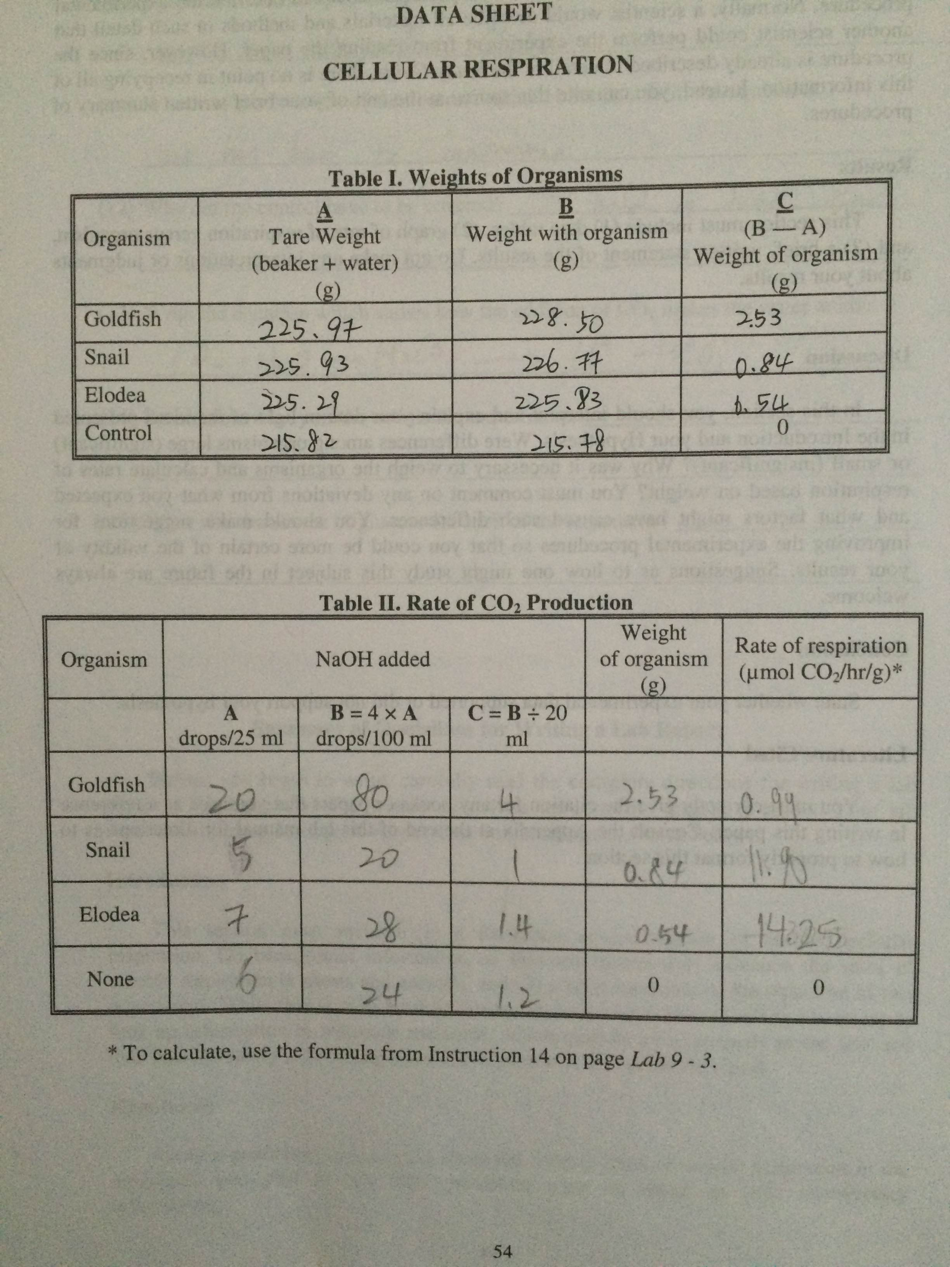 Solved cellular respiration Based on this data tables | Chegg.com