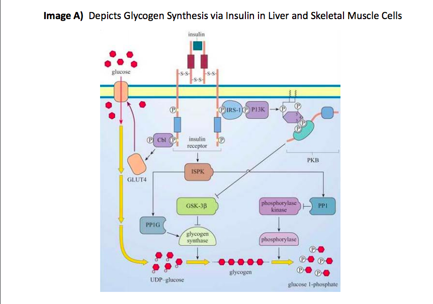 Solved Problem 1) The essential components of any signaling