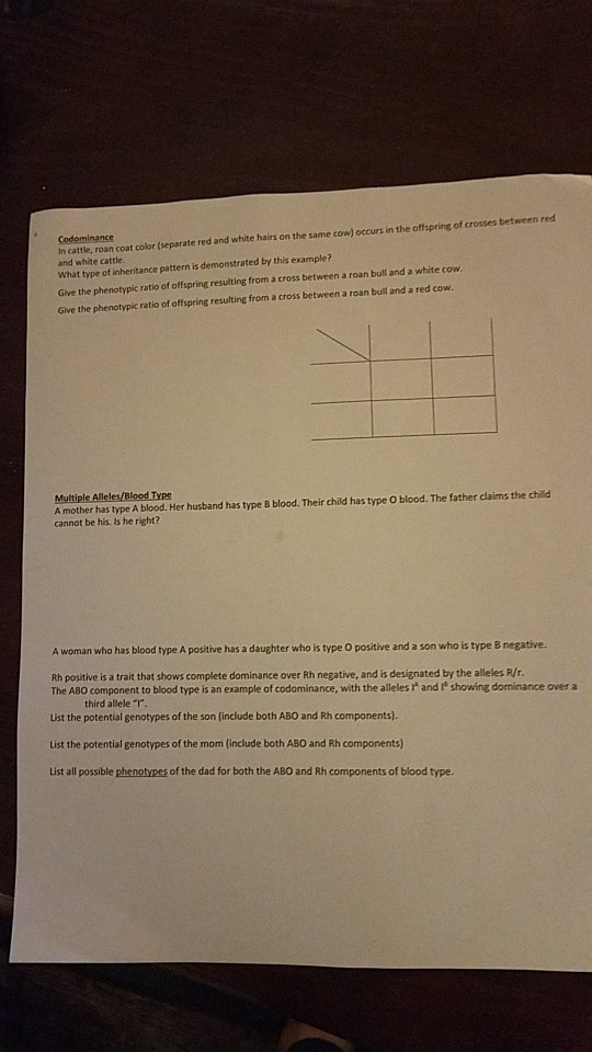 Solved Codeminance in cattle, roan coat color (separate r n