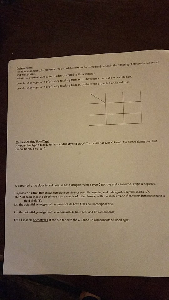 solved-codeminance-in-cattle-roan-coat-color-separate-r-n-chegg