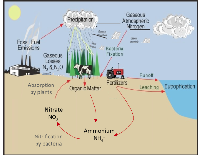 Solved Gaseous Precipitation Atmospheric NitrogenCC Gas | Chegg.com