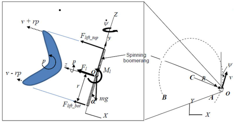 A boomerang is a specially designed spinning