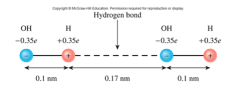 Solved A simplified model represents a hydrogen bond as the | Chegg.com