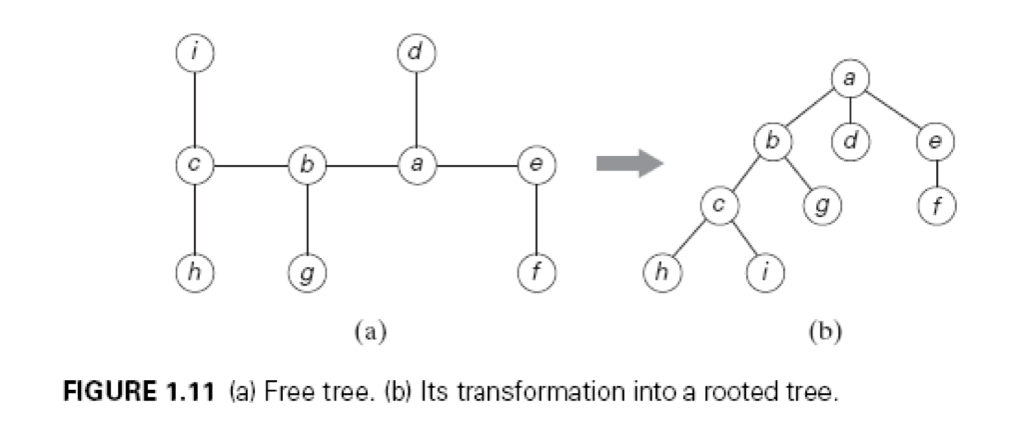 Solved Write a program to transform a free tree to a rooted | Chegg.com