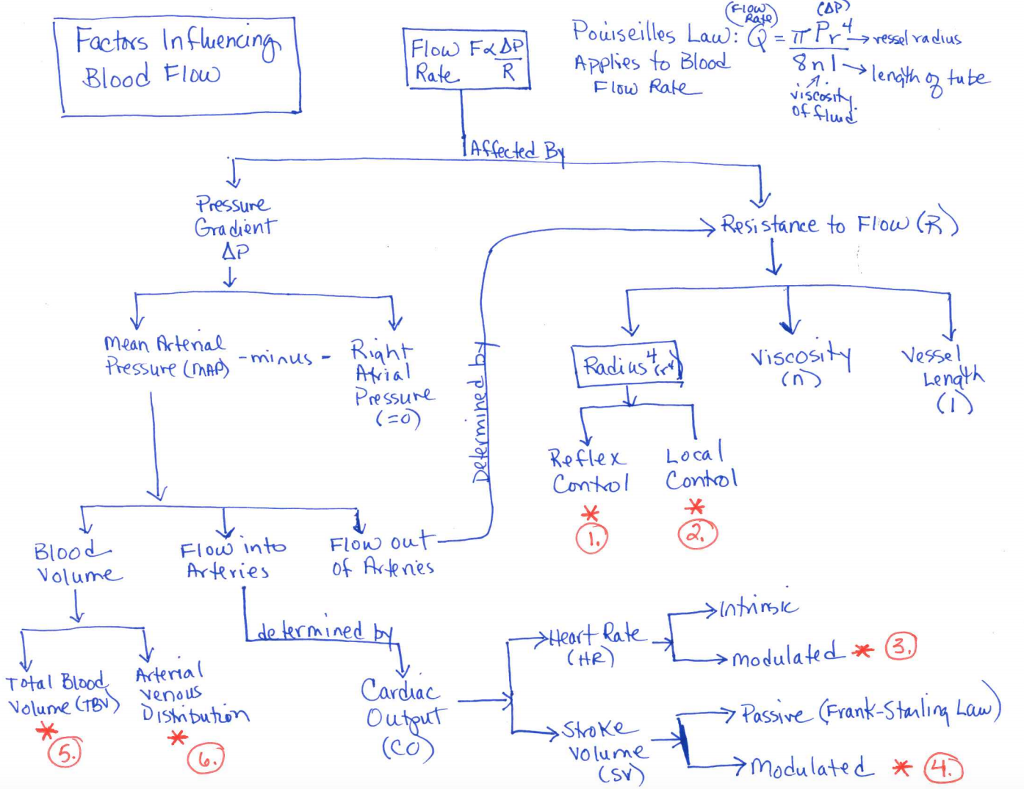 solved-the-attached-flow-chart-describes-the-factors-that-chegg