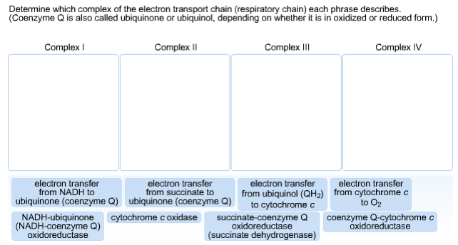 Solved Determine which complex of the electron transport | Chegg.com