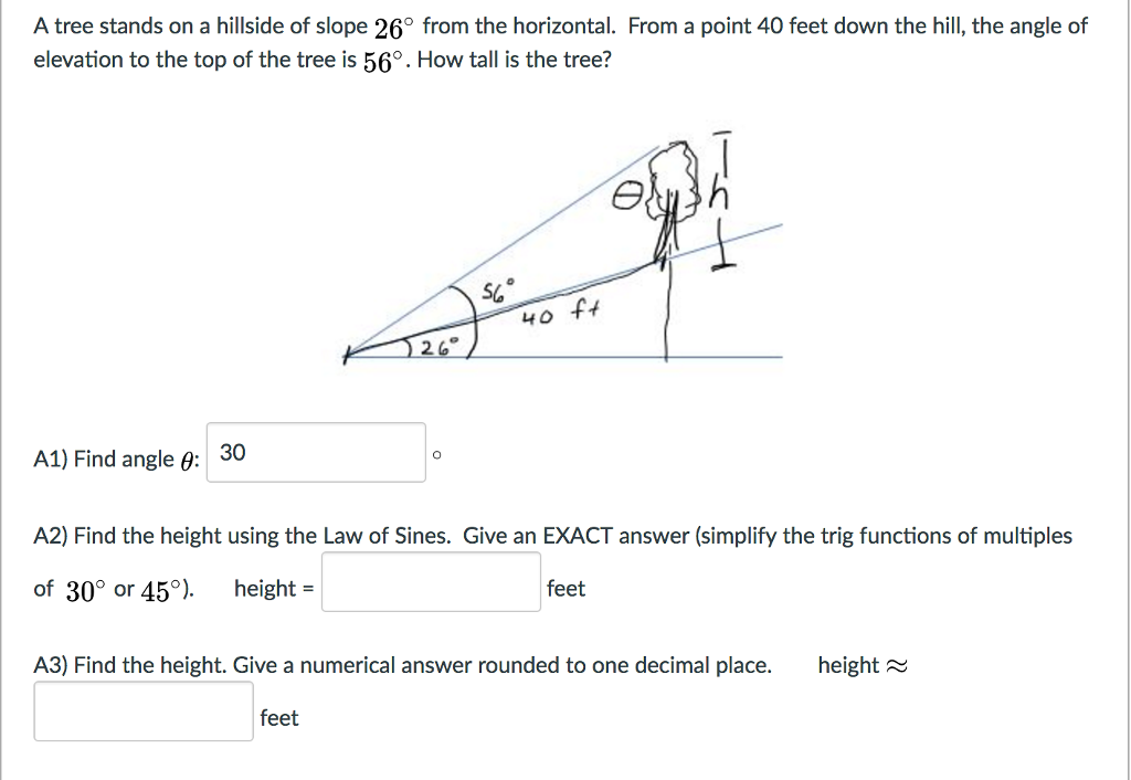 Solved A tree stands on a hillside of slope 26 from the