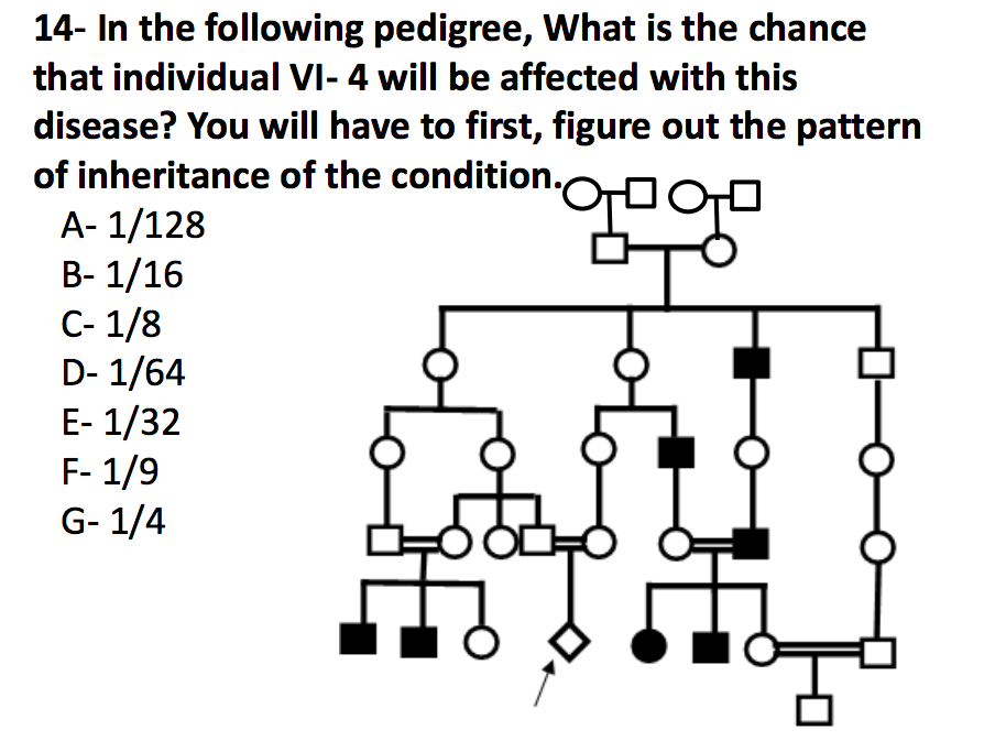 solved-14-in-the-following-pedigree-what-is-the-chance-chegg