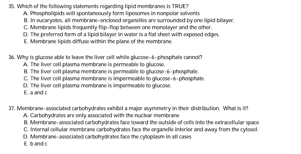 Solved: Which Of The Following Statements Regarding Lipid | Chegg.com