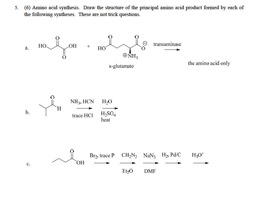 Solved Amino acid synthesis. Draw the structure of the | Chegg.com