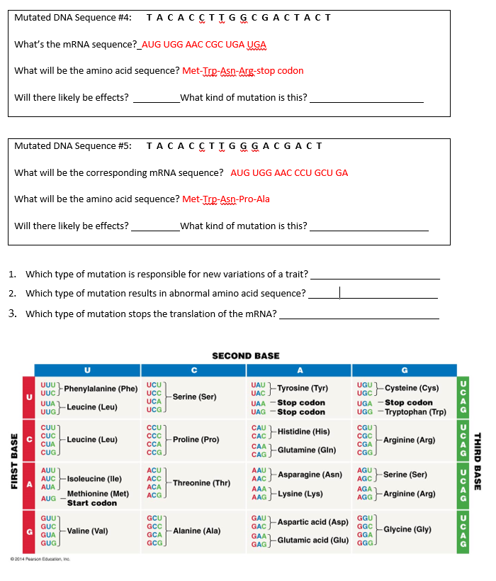 Mutated DNA Sequence #4: T A C A C C T T G G C G A C | Chegg.com