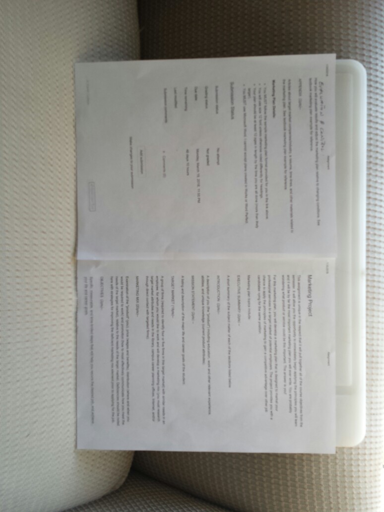 Marketing Project | Chegg.com