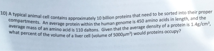 Solved: 10) A Typical Animal Cell Contains Approximately 1... | Chegg.com