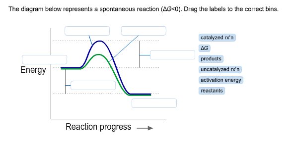 Solved The diagram below represents a spontaneous reaction | Chegg.com