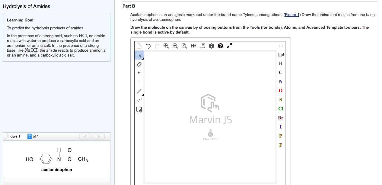 Amine That Results From the Base Hydrolysis of Acetaminophen