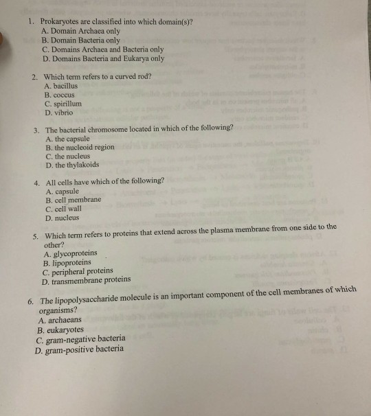 Solved 1 Prokaryotes Are Classified Into Which Domain s Chegg
