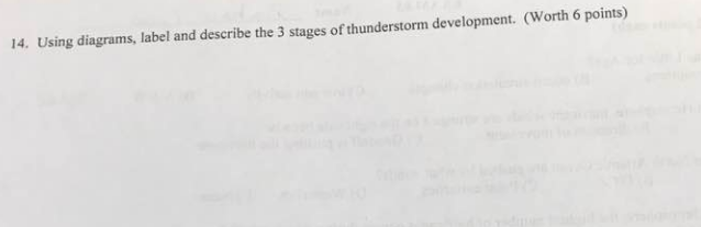 how-do-you-comfort-a-dog-during-a-thunderstorm-rankiing-wiki-facts