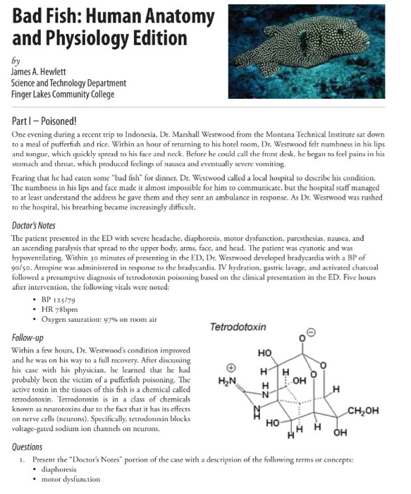 fish or mammals case study answer key