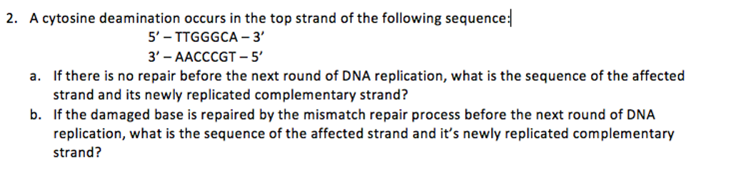Solved E F 6 A Deamination Occurs On The Cytosine Residue Chegg Com
