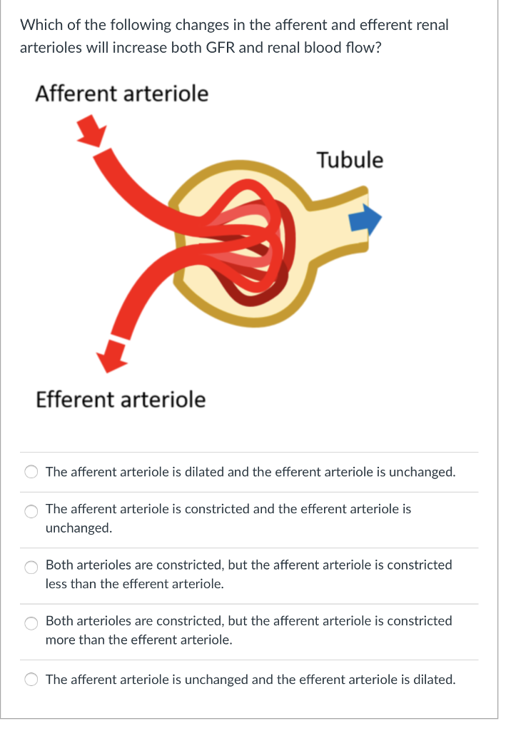 Afferent Arteriole And Efferent Arteriole