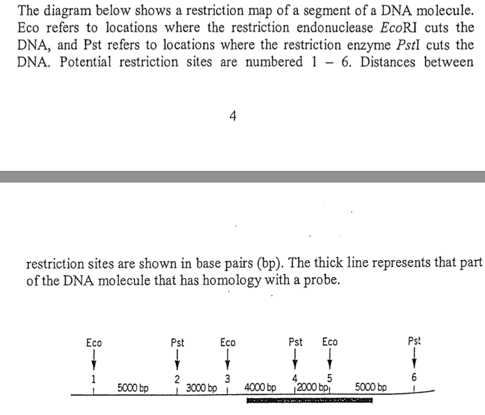 Solved You are studying the expression of genes linked to a | Chegg.com