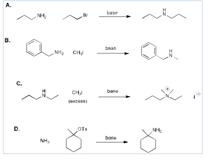 Solved Which reaction could be expected to proceed in good | Chegg.com