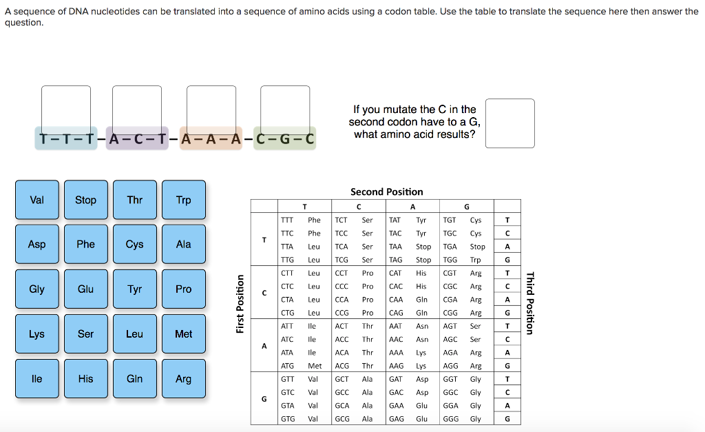 nucleotide codes