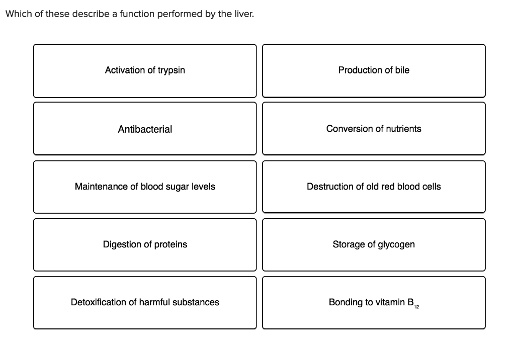 Solved Which of these describe a function performed by the | Chegg.com