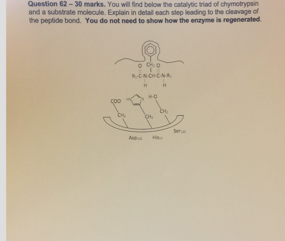 solved-you-will-find-below-the-catalytic-triad-of-chegg