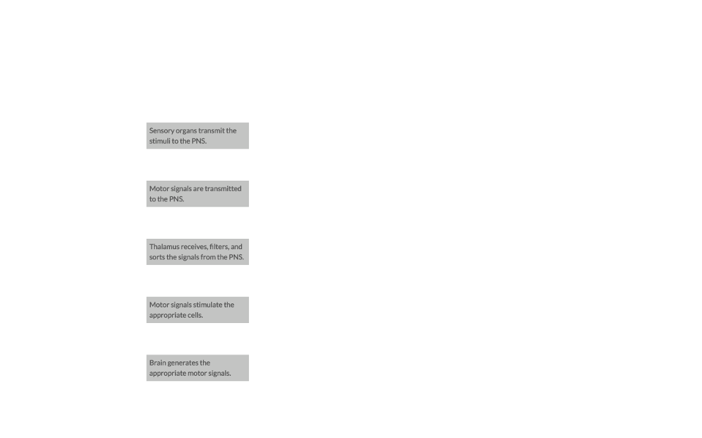 solved-order-the-flow-of-information-from-the-environmental-chegg