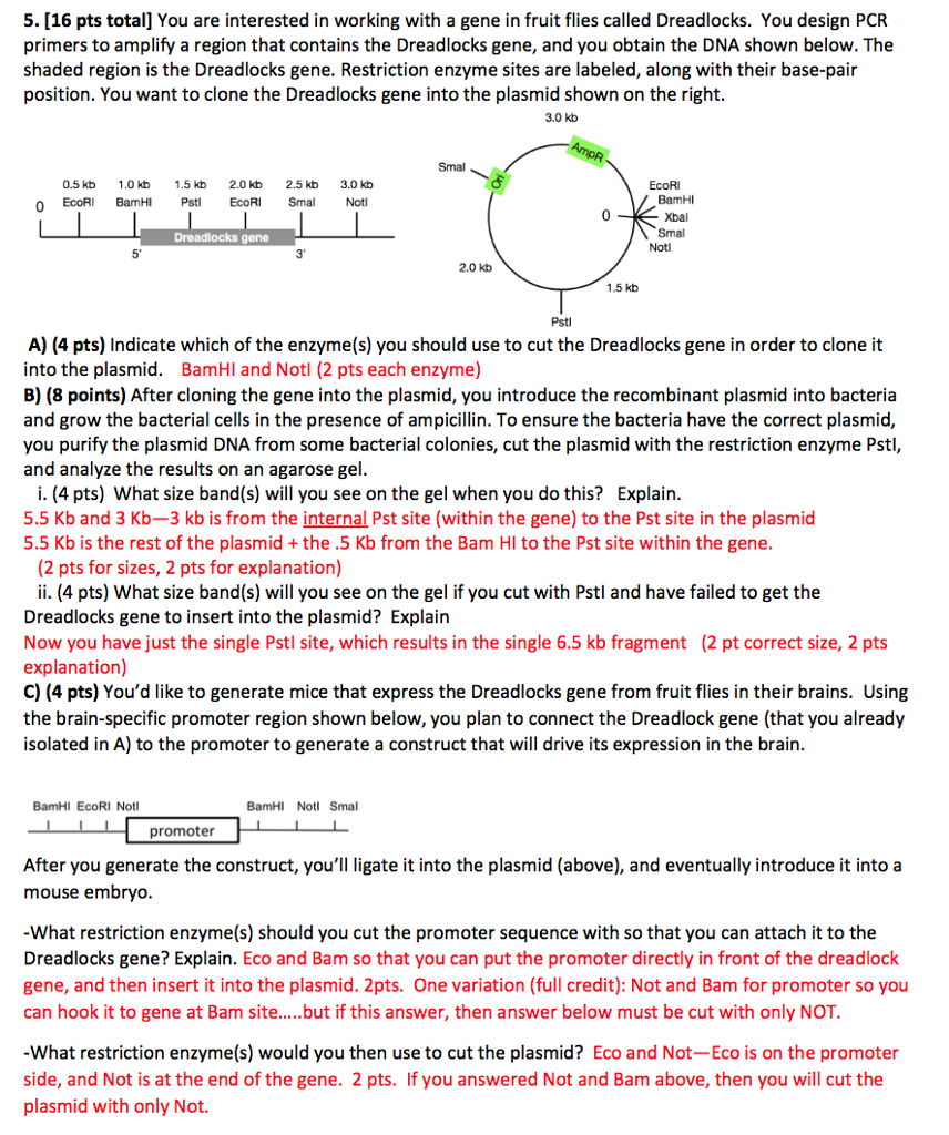 solved-hi-i-seem-to-disagree-with-the-answers-to-part-c-of-chegg