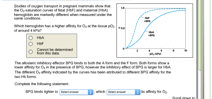 Solved Studies Of Oxygen Transport In Pregnant Mammals Show | Chegg.com