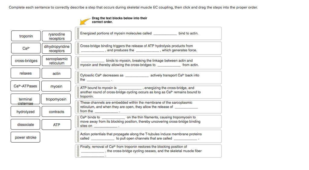 Solved Complete each sentence to correctly describe a step
