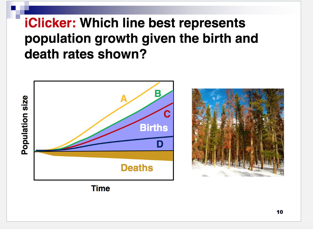 solved-iclicker-which-line-best-represents-population-chegg