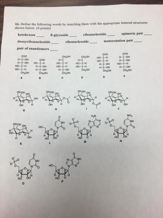 Define The Following Words By Matching Them With The Chegg